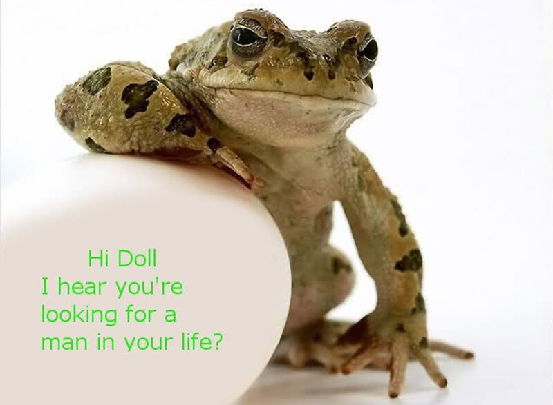 Toad on White Egg — Neutral