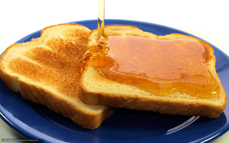 Toast with Honey — Blue, Appetizing, Photograph