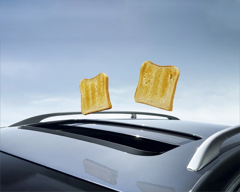 Toasted Bread Slices — Gray
