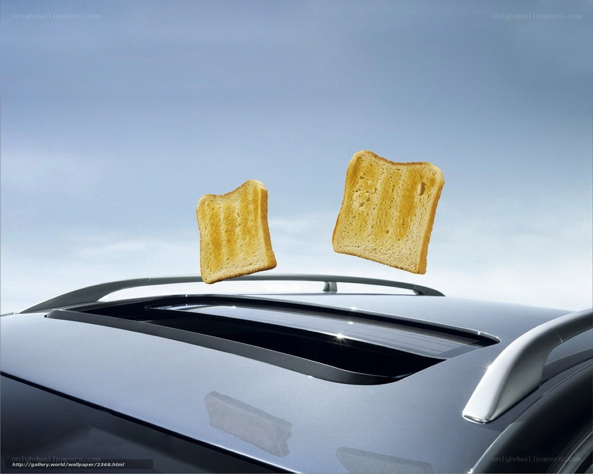 Toasted bread slices in air