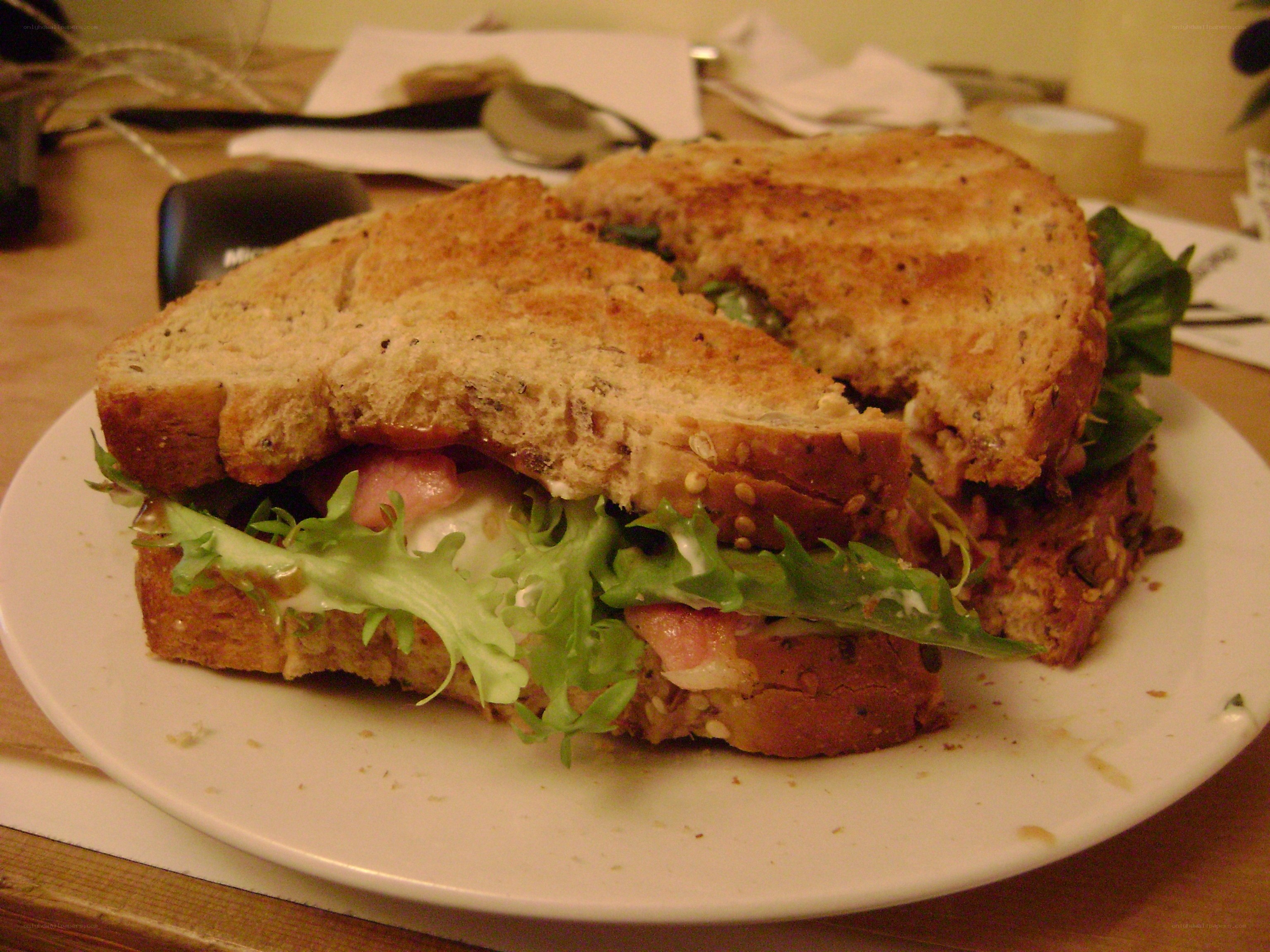 toasted sandwich on a plate