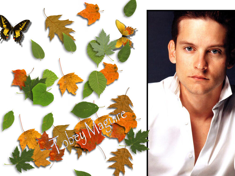 Tobey Maguire with autumn leaves