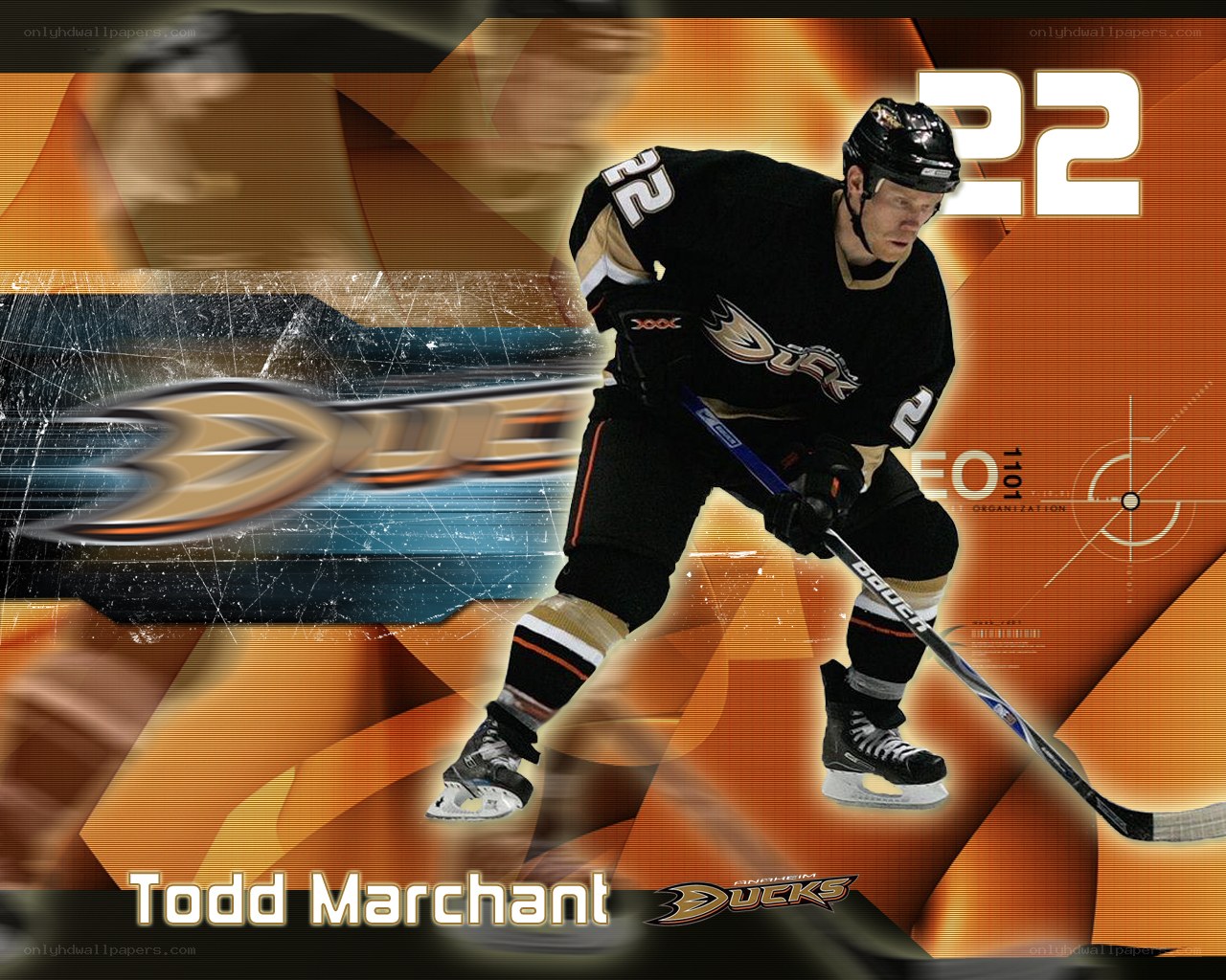 Todd Marchant hockey player