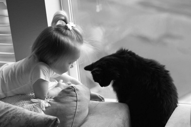 Toddler and Black Cat