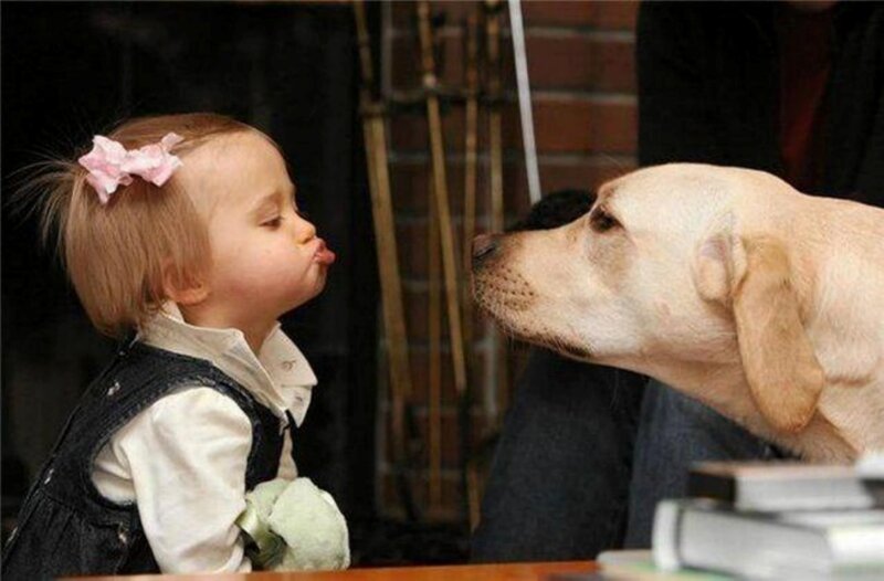 Toddler and Dog Kissing