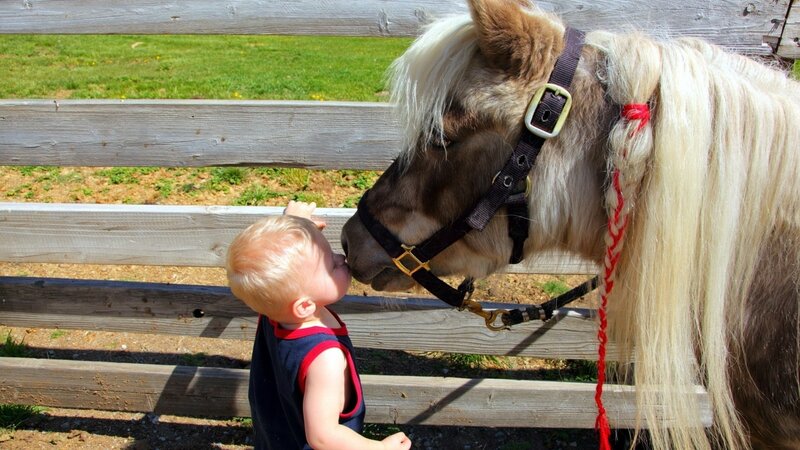 Toddler and Pony — Brown