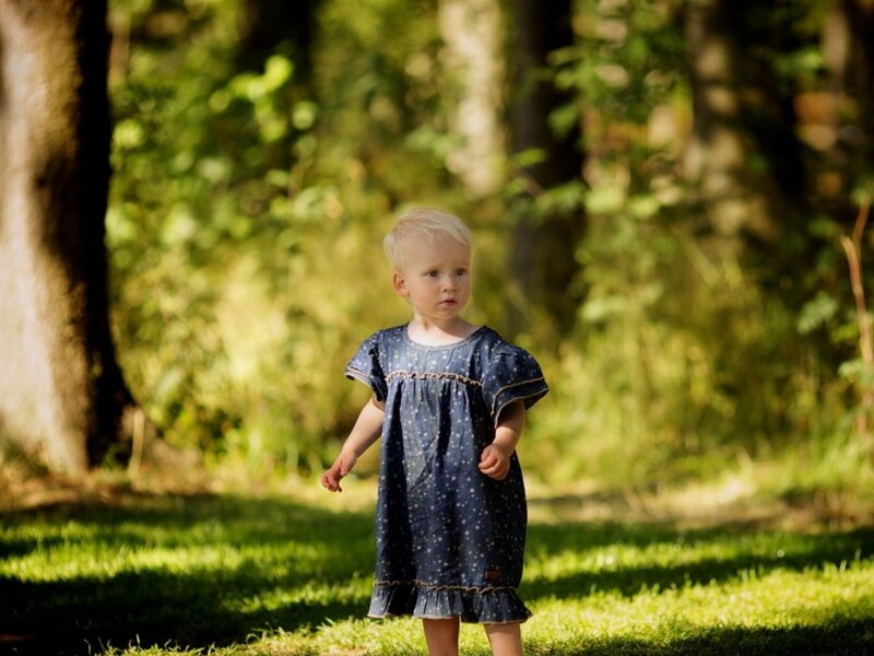Toddler Girl in Dress