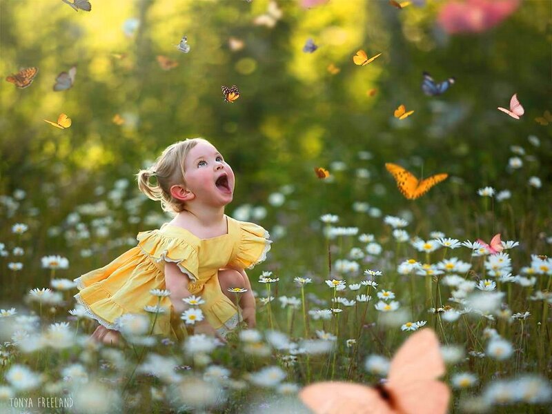 Toddler Girl in Field — Yellow