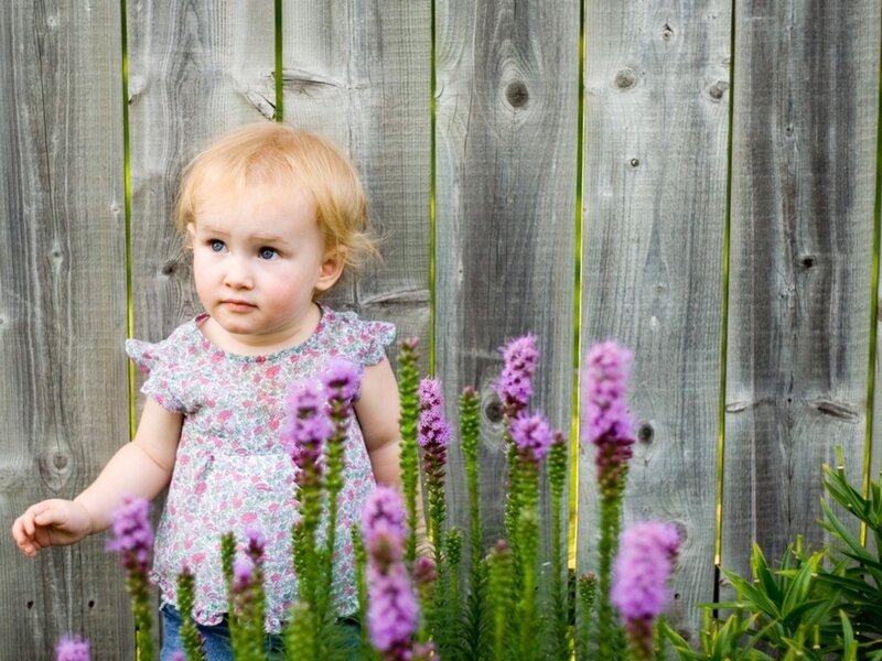 Toddler Girl in Garden