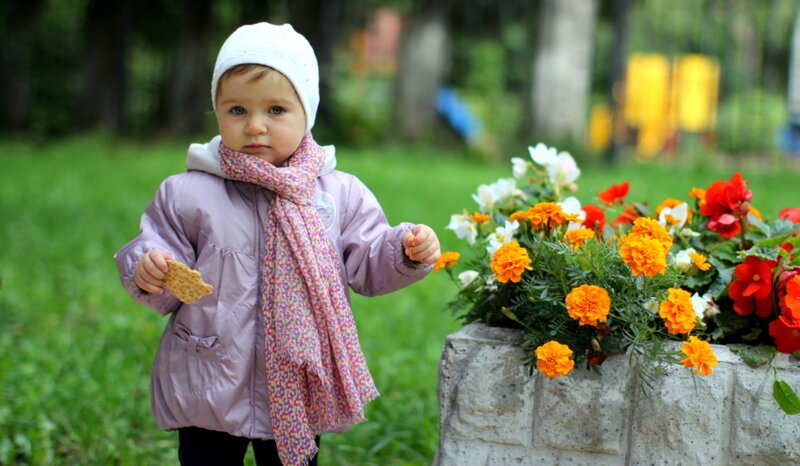 Toddler Girl in Park
