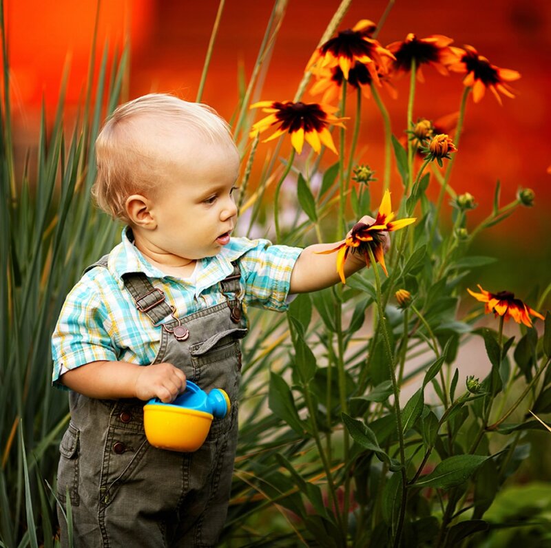 Toddler in Garden