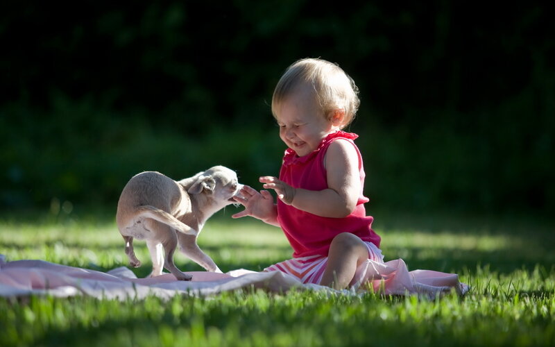 Toddler Playing with Dog