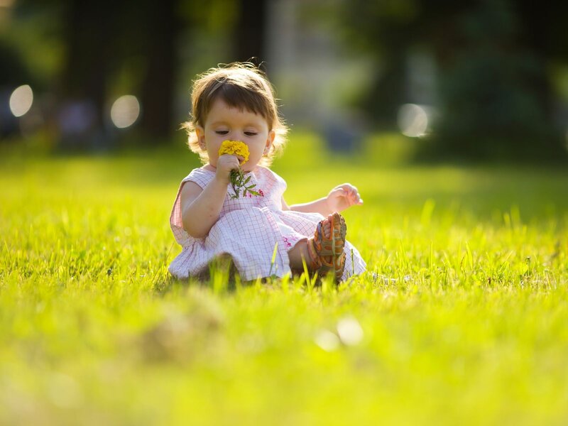 Toddler Sitting on Grass