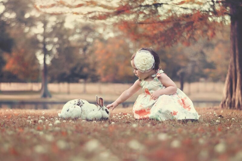 Toddler Touching Rabbit