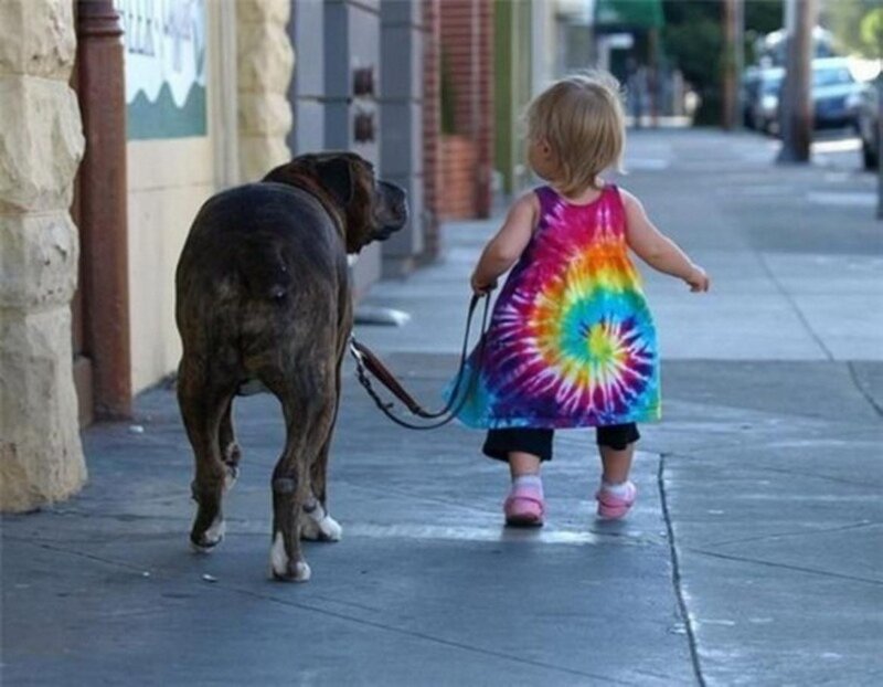 Toddler Walking Dog