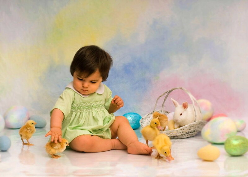 Toddler with Chicks and Ducklings