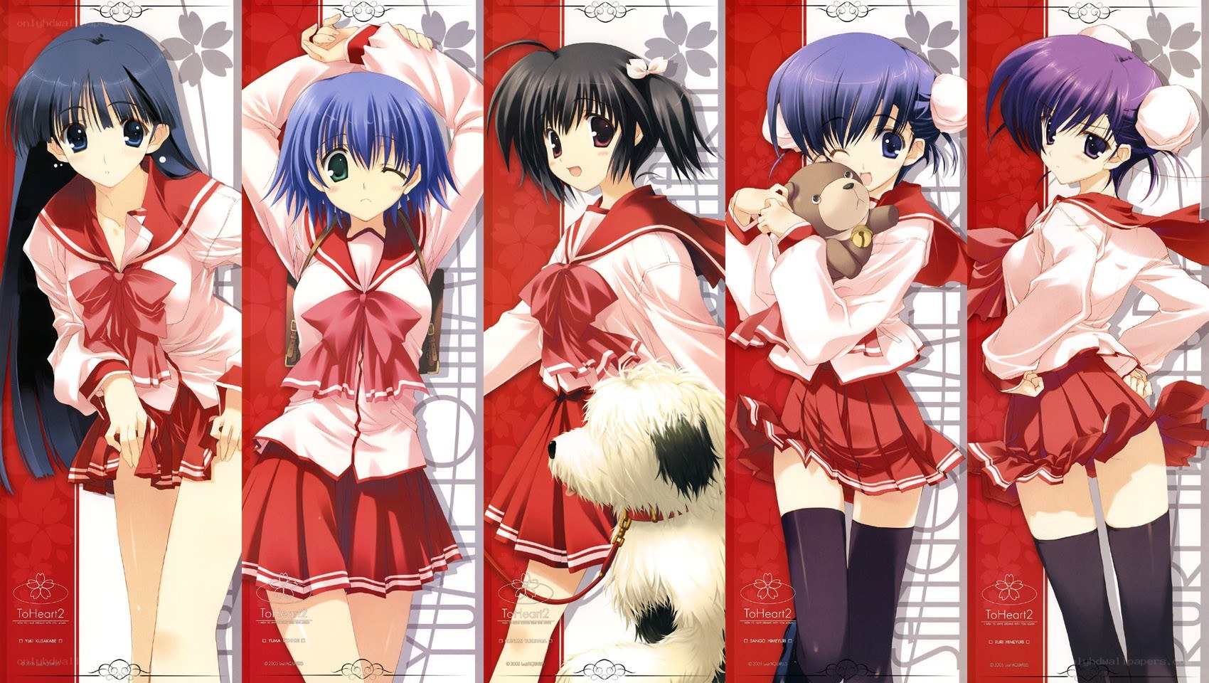 ToHeart2 anime character lineup