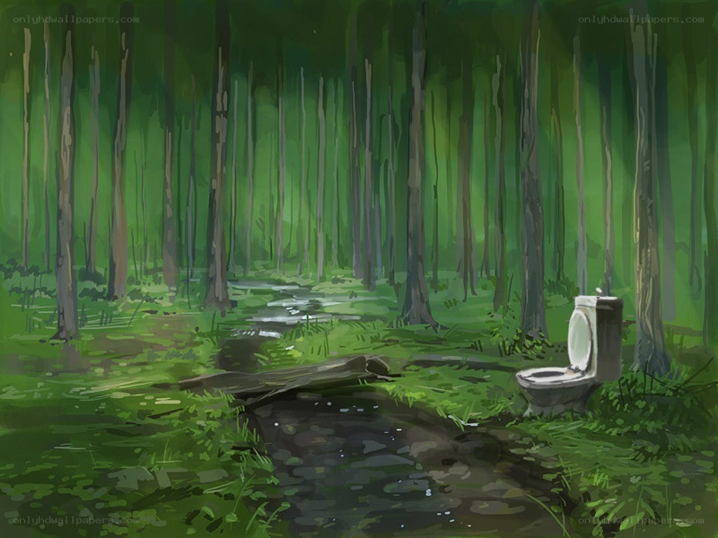 Toilet in the forest