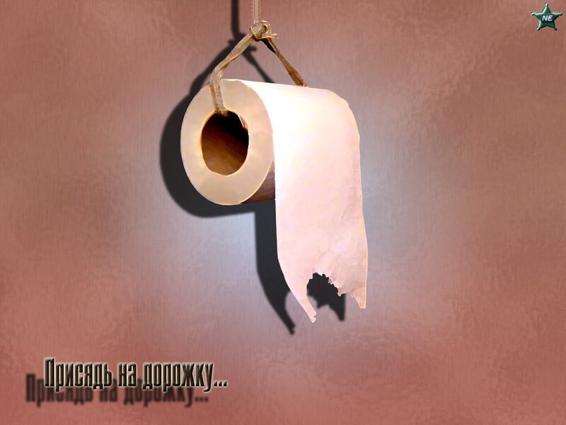 Toilet paper hanging on rope