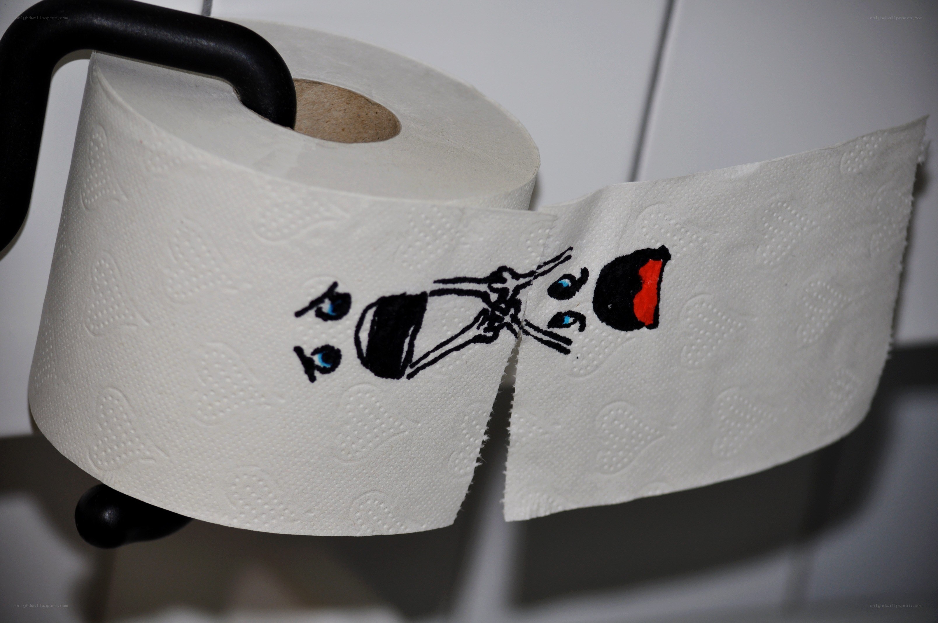 toilet paper with drawing