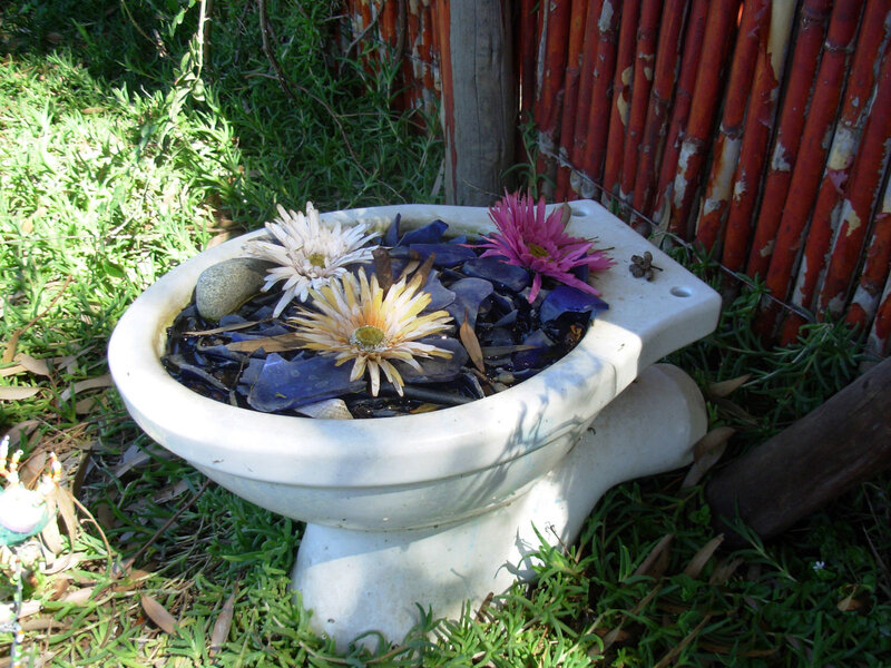 toilet repurposed as flower planter