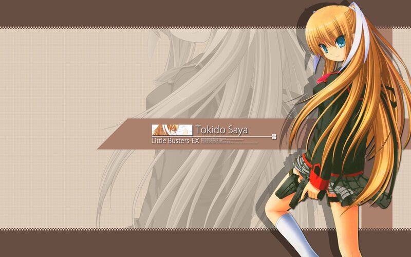 Tokido Saya character art
