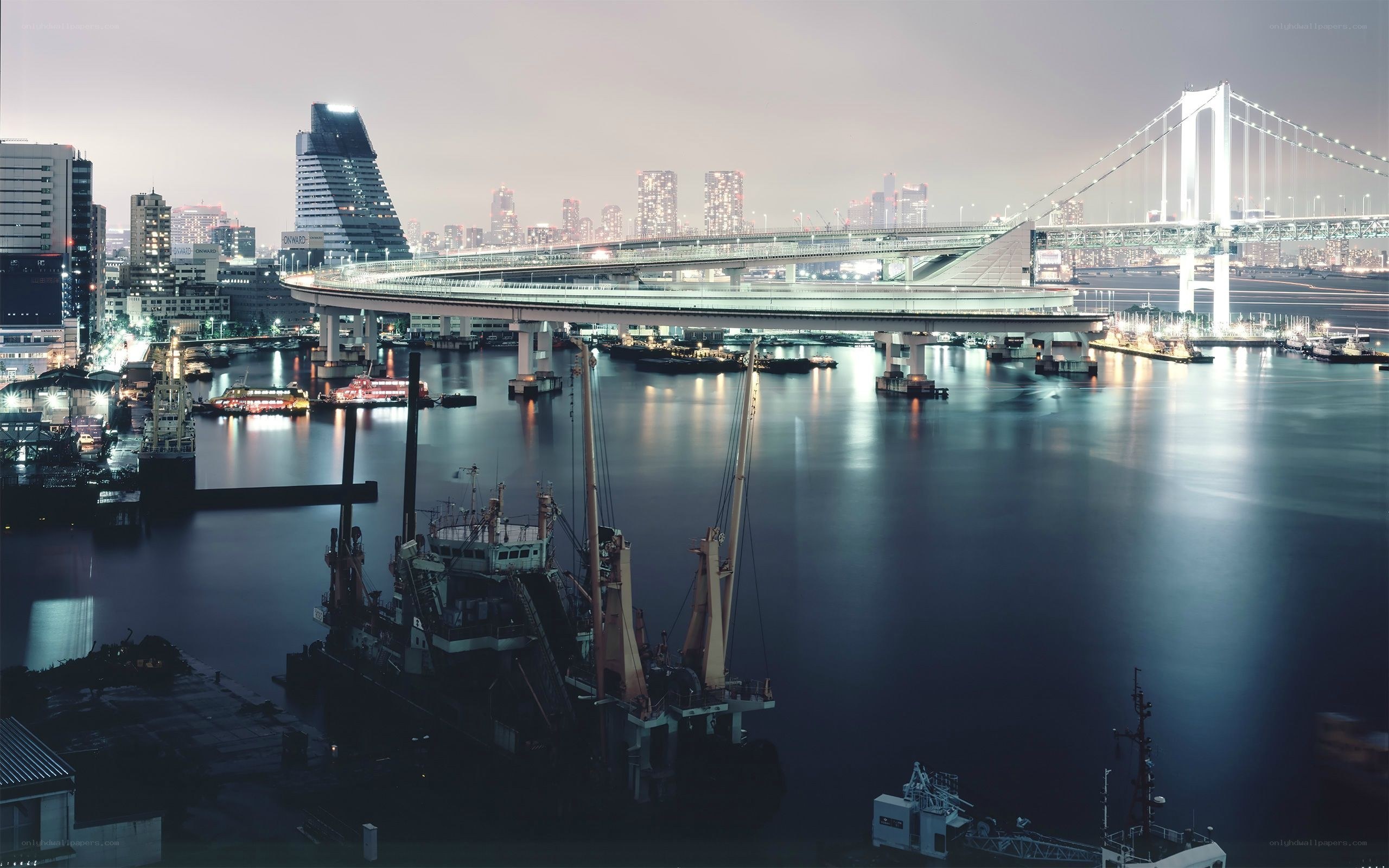 Tokyo Bay at dusk with bridges