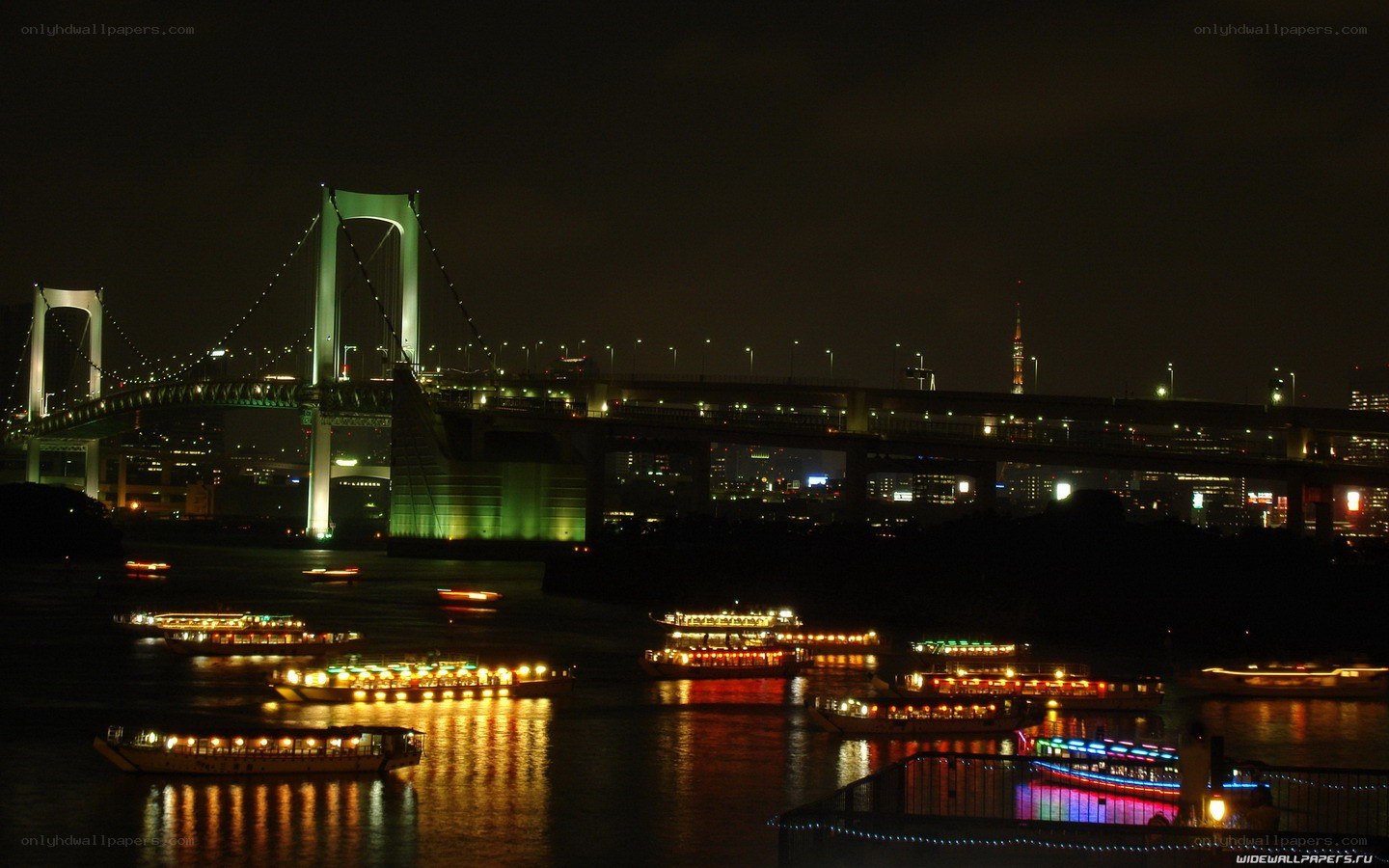 Tokyo Bay at night