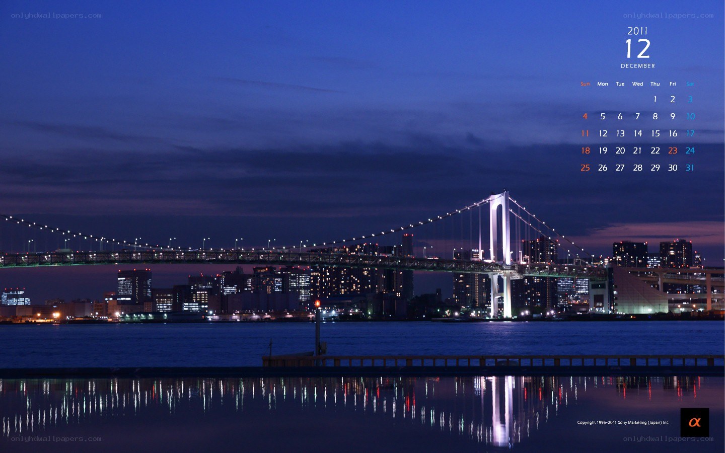 Tokyo Bay Bridge at night