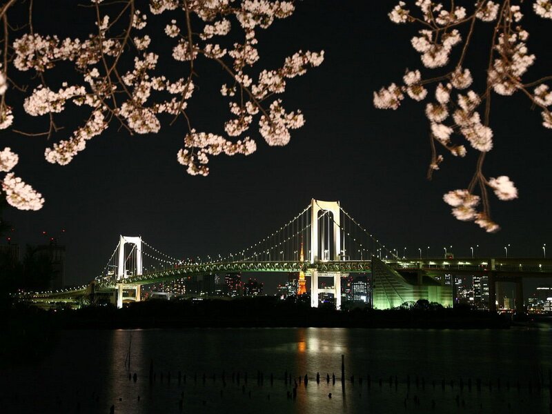 Tokyo Bay Bridge at Night — Black, Serene
