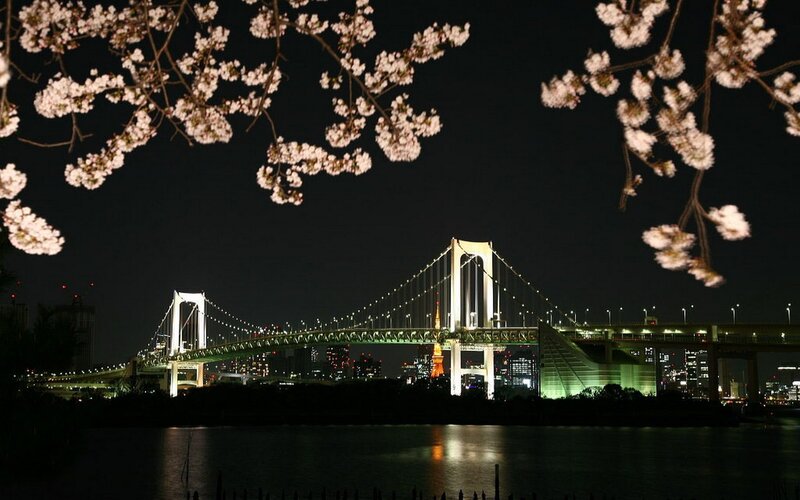 Tokyo Bay Bridge at Night — Black