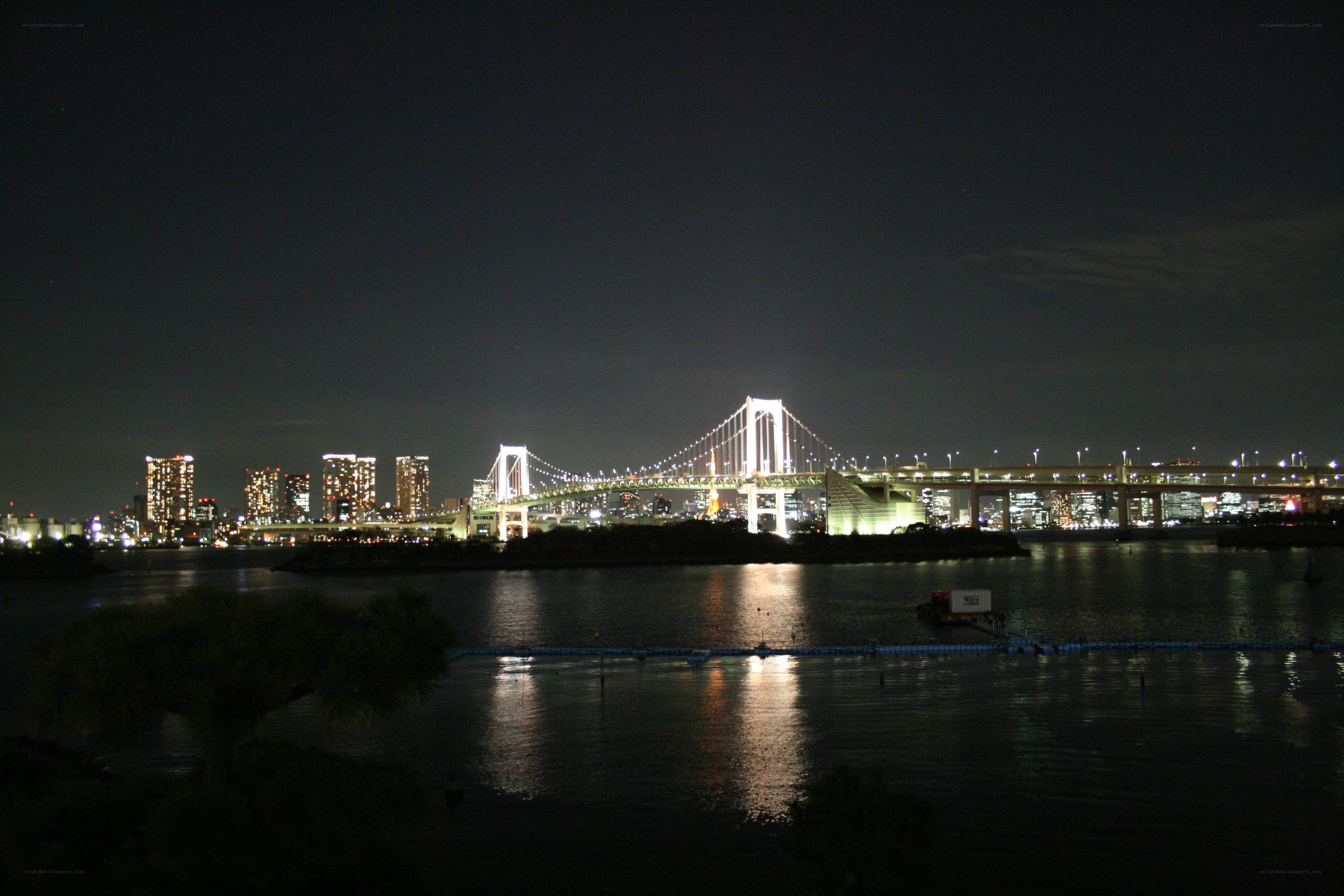 Tokyo Bay Bridge at night