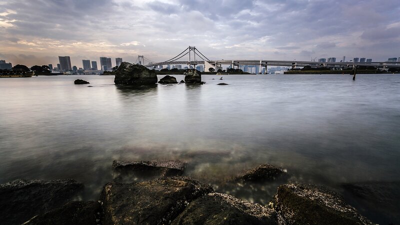 Tokyo Bay Bridge — Gray