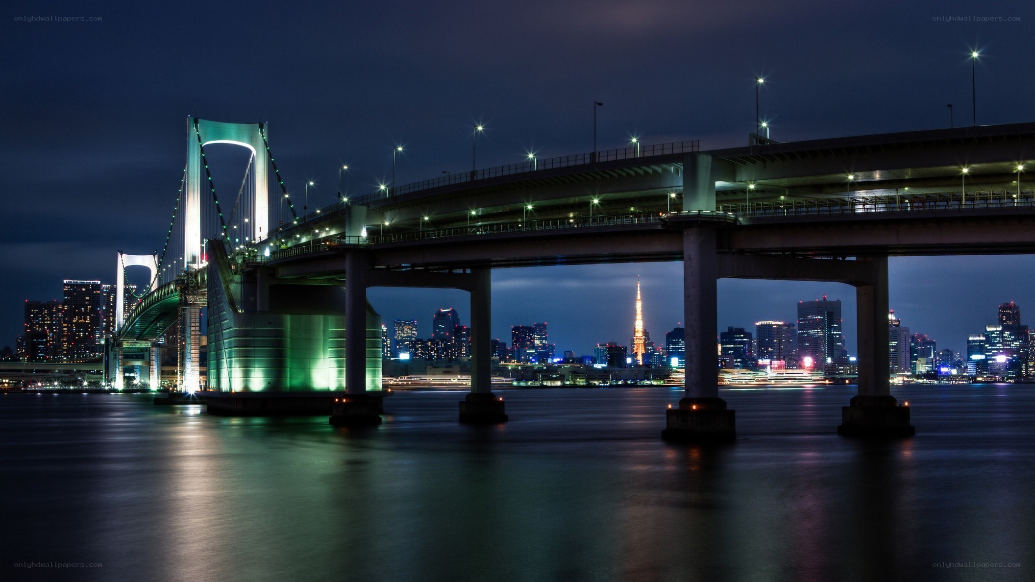 Tokyo Bay bridges at night