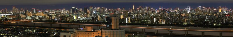 Tokyo city skyline at night