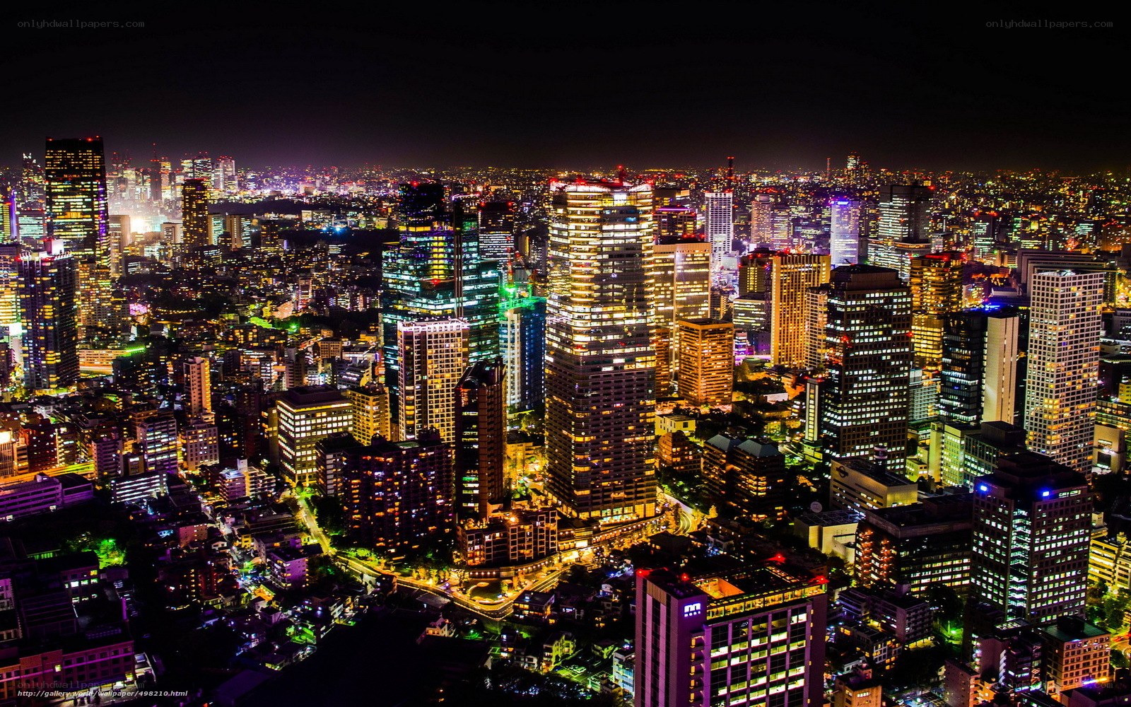 Tokyo city skyline at night