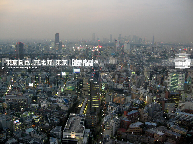 Tokyo city view at dusk