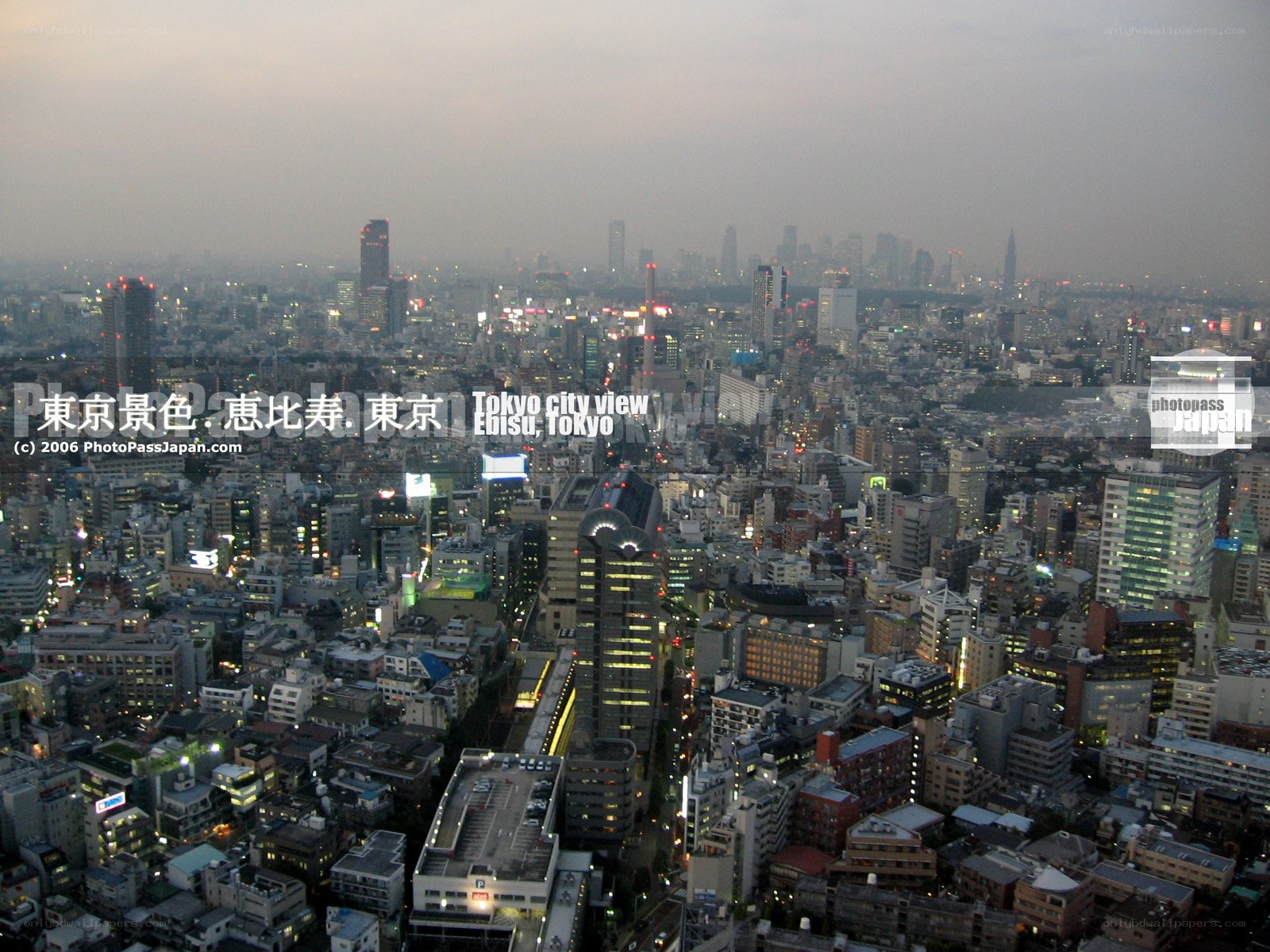 Tokyo city view at dusk