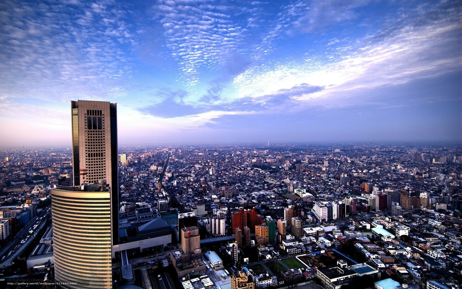 Tokyo cityscape at dawn