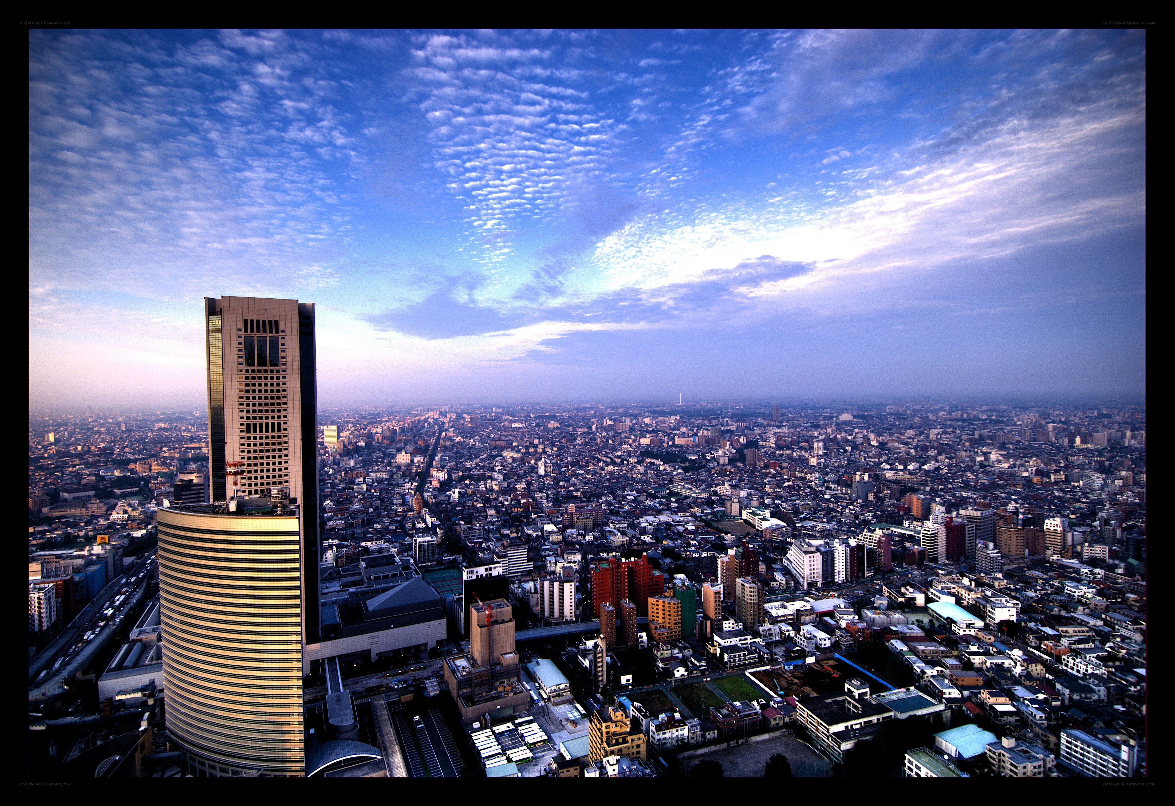Tokyo cityscape at dawn