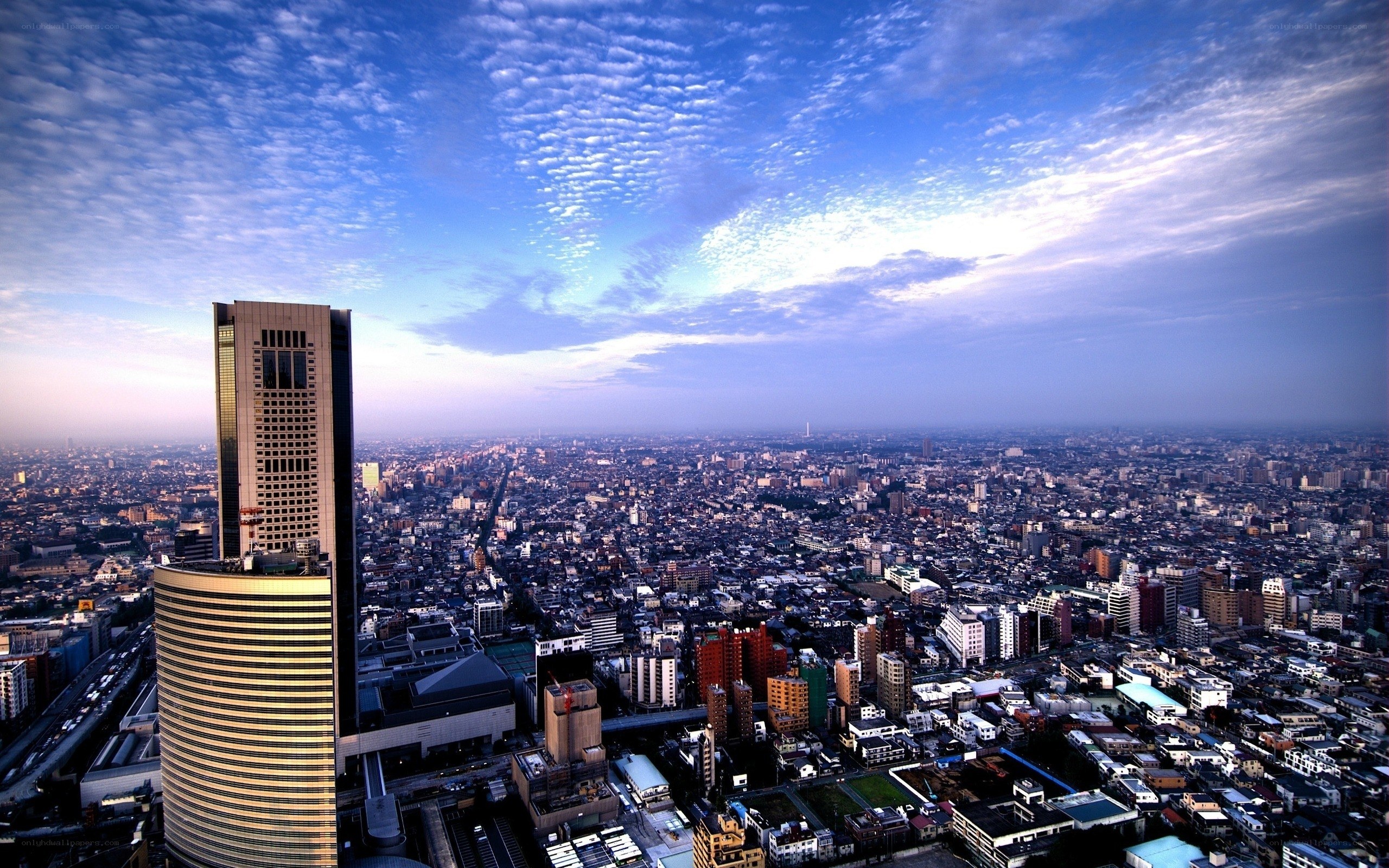 Tokyo cityscape at dawn