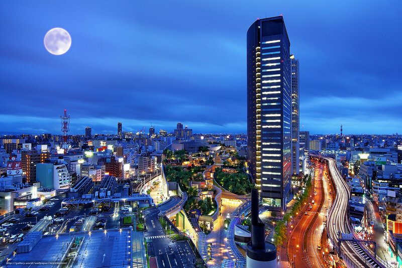 Tokyo cityscape at dusk