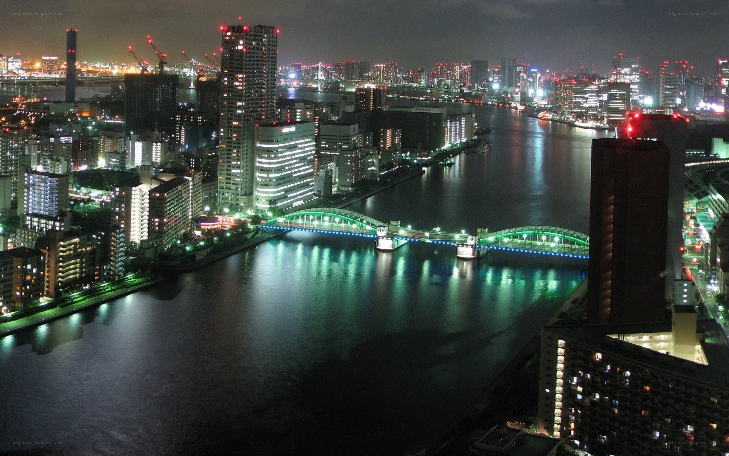 Tokyo cityscape at night