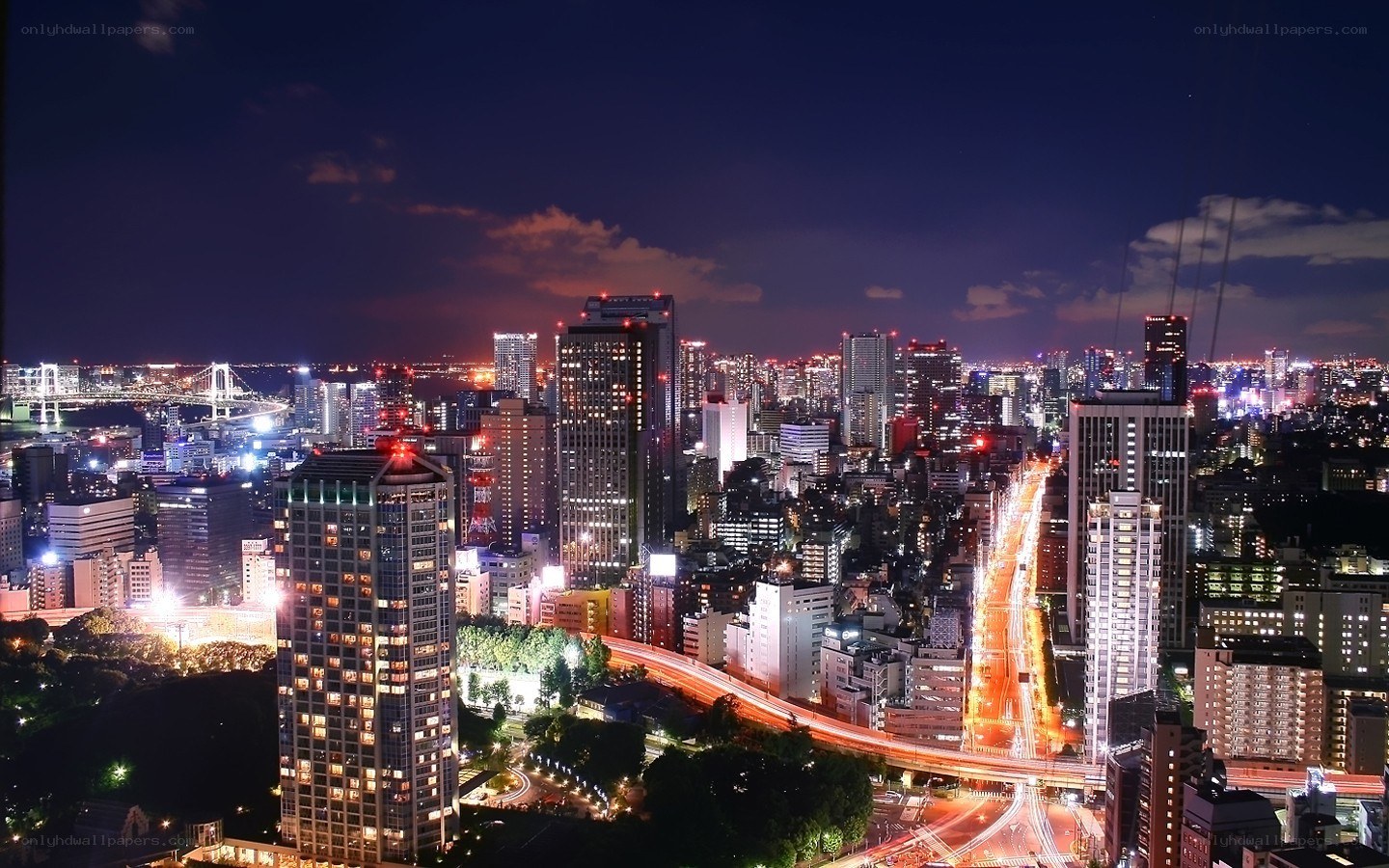Tokyo cityscape at night