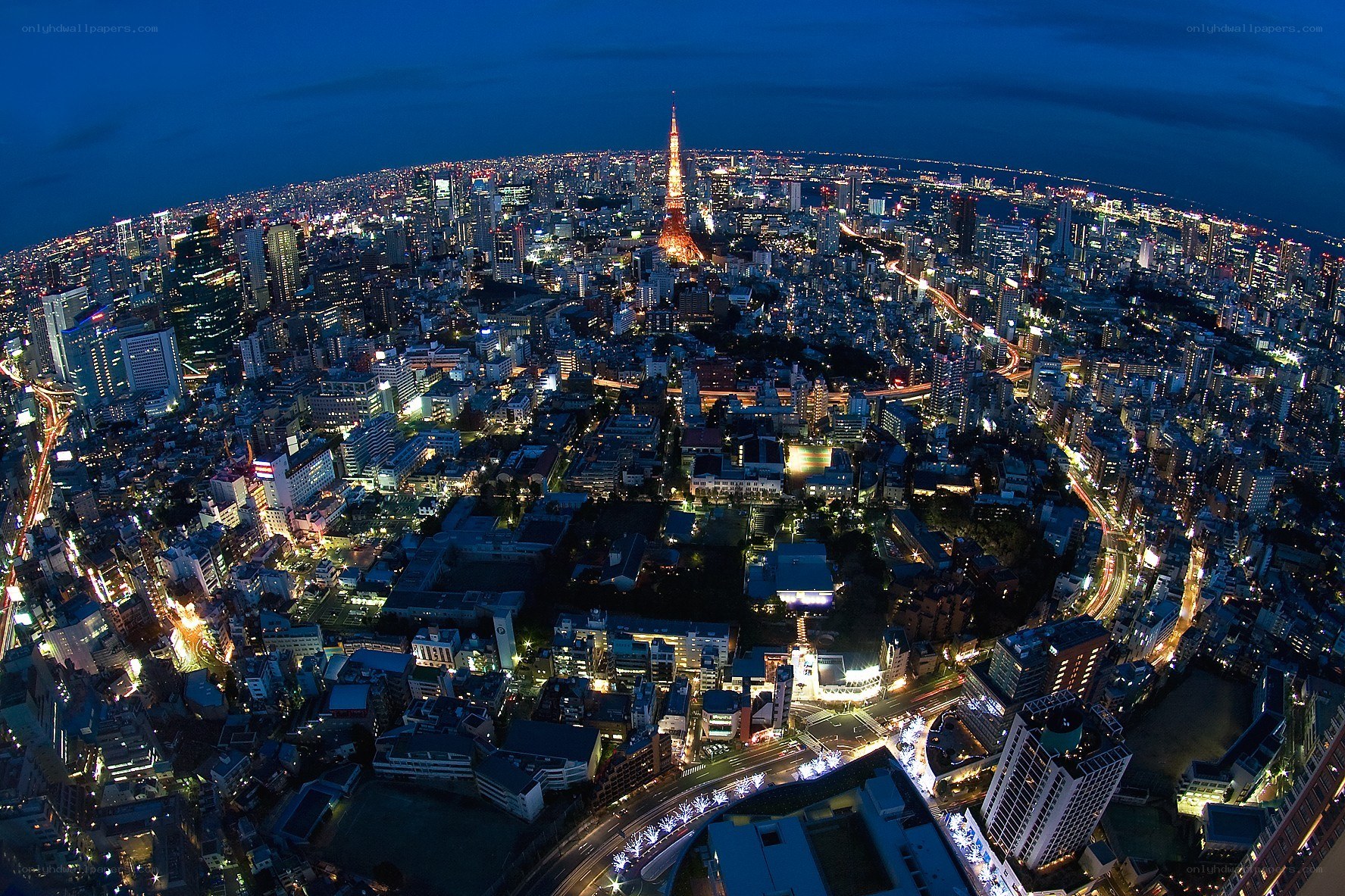 Tokyo cityscape at night