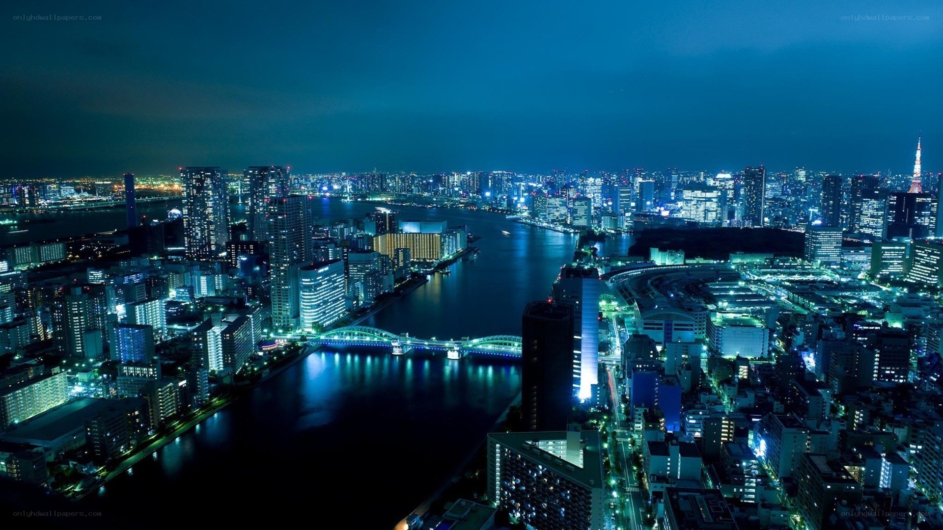 Tokyo cityscape at night