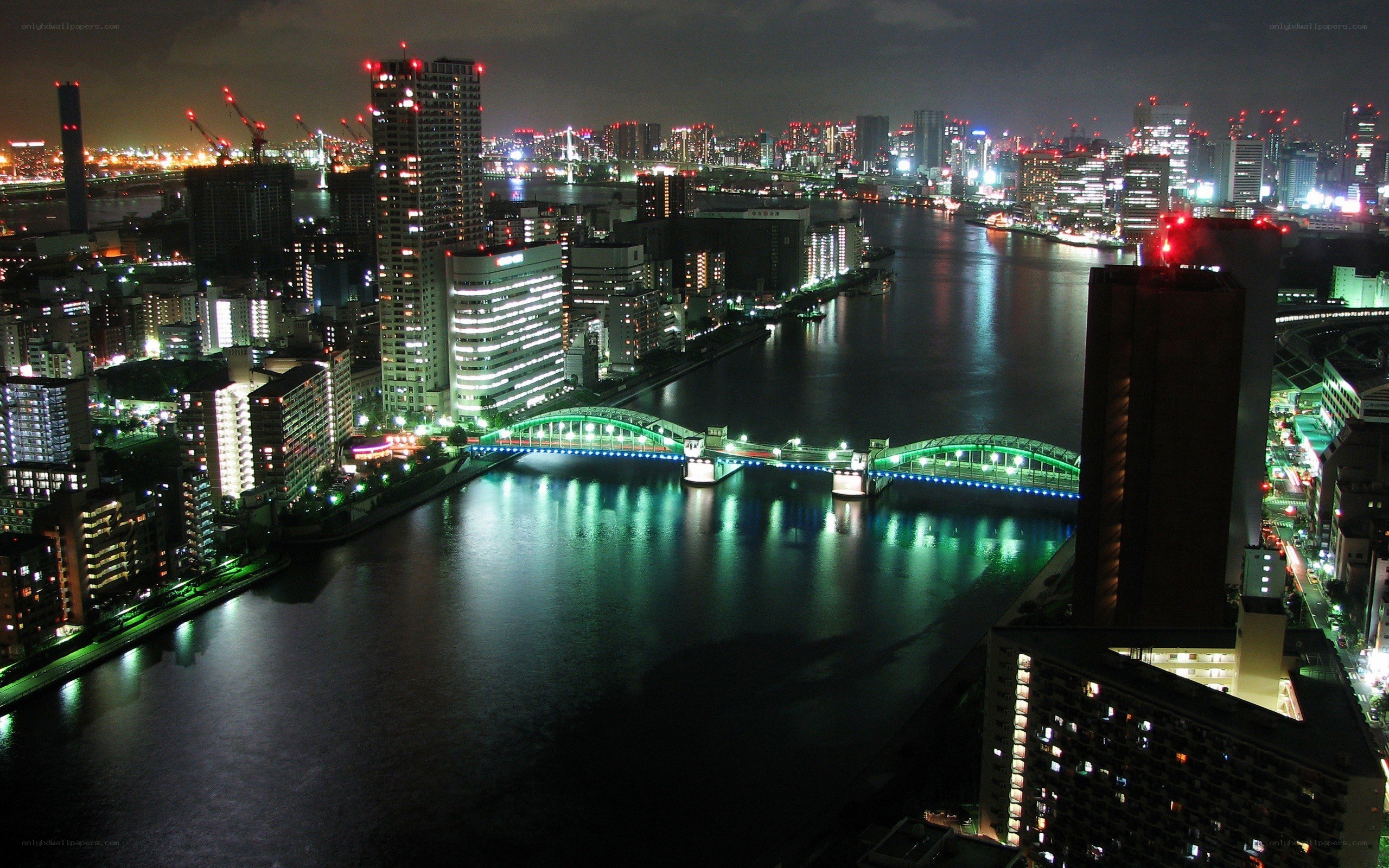 Tokyo cityscape at night