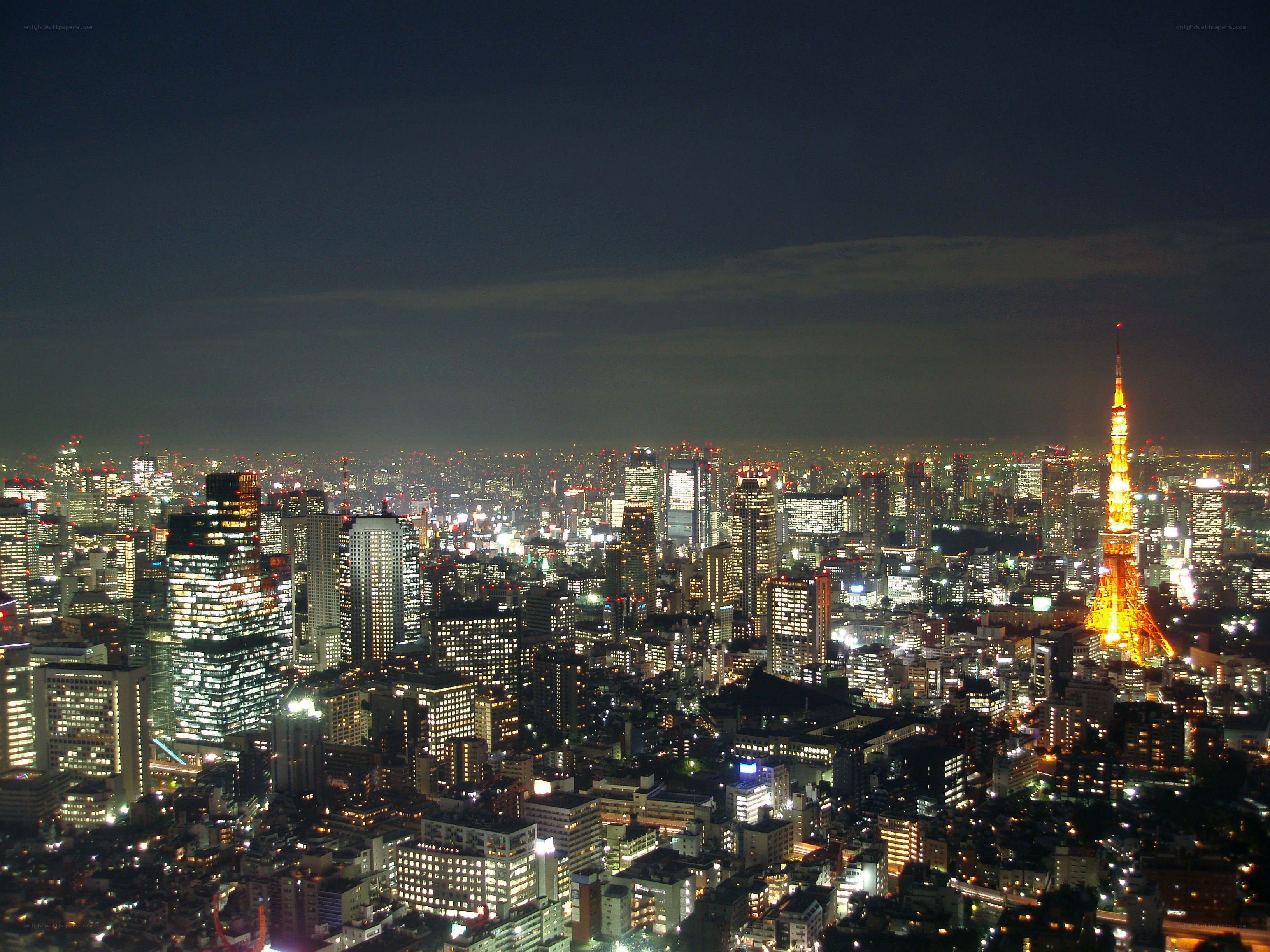 Tokyo cityscape at night