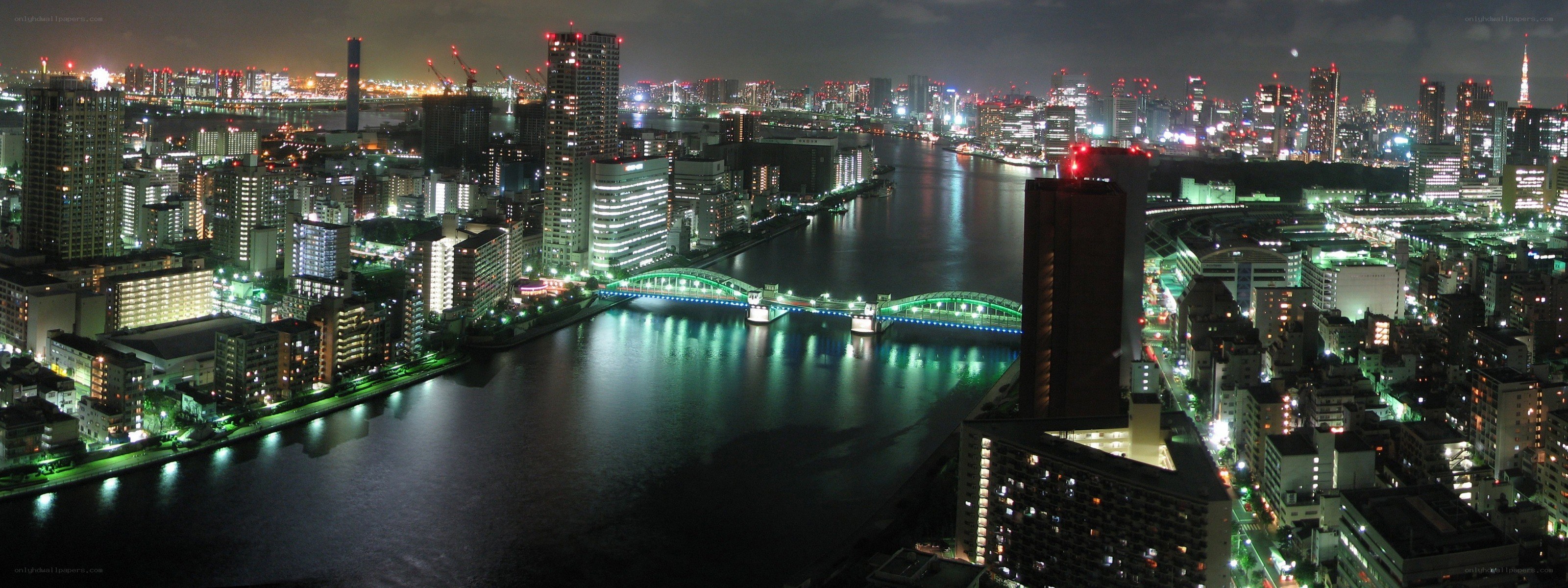 Tokyo cityscape at night