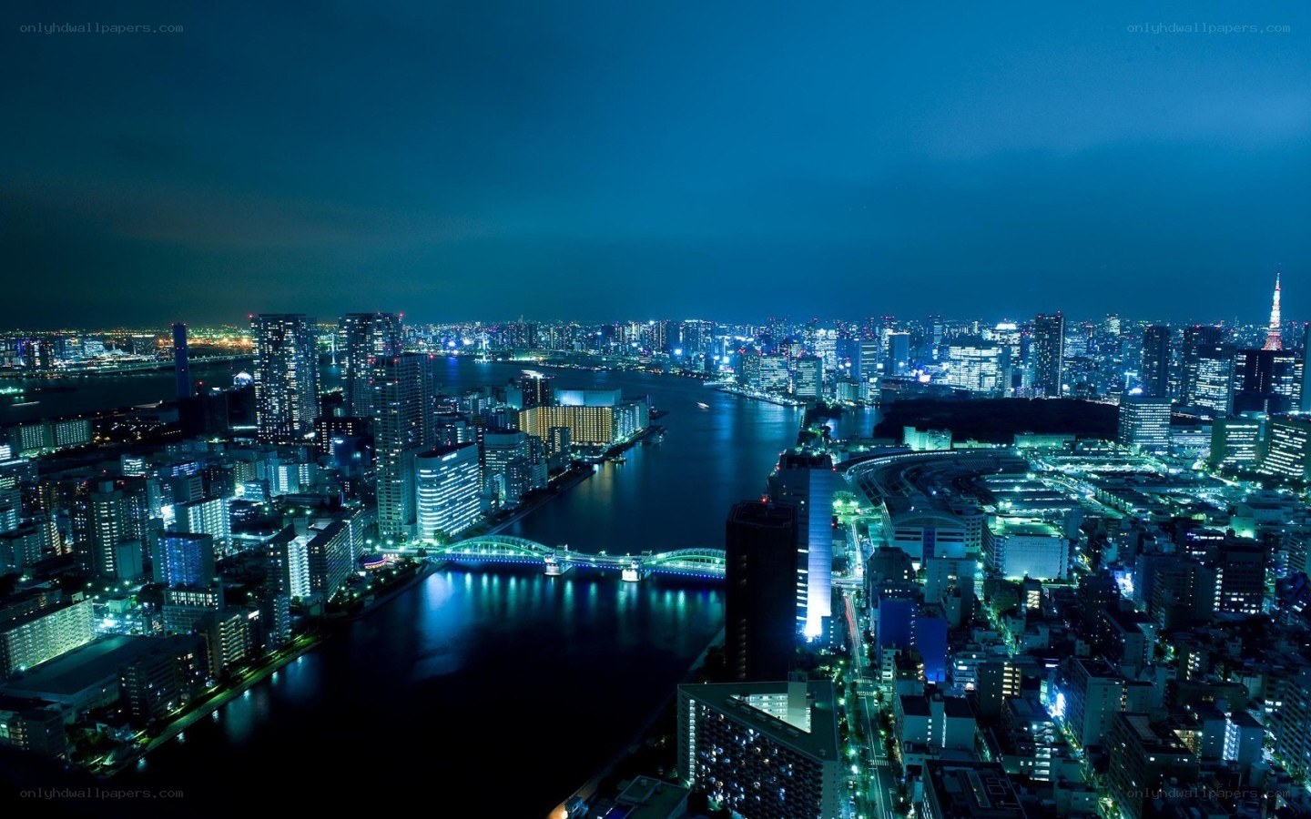 Tokyo cityscape at night
